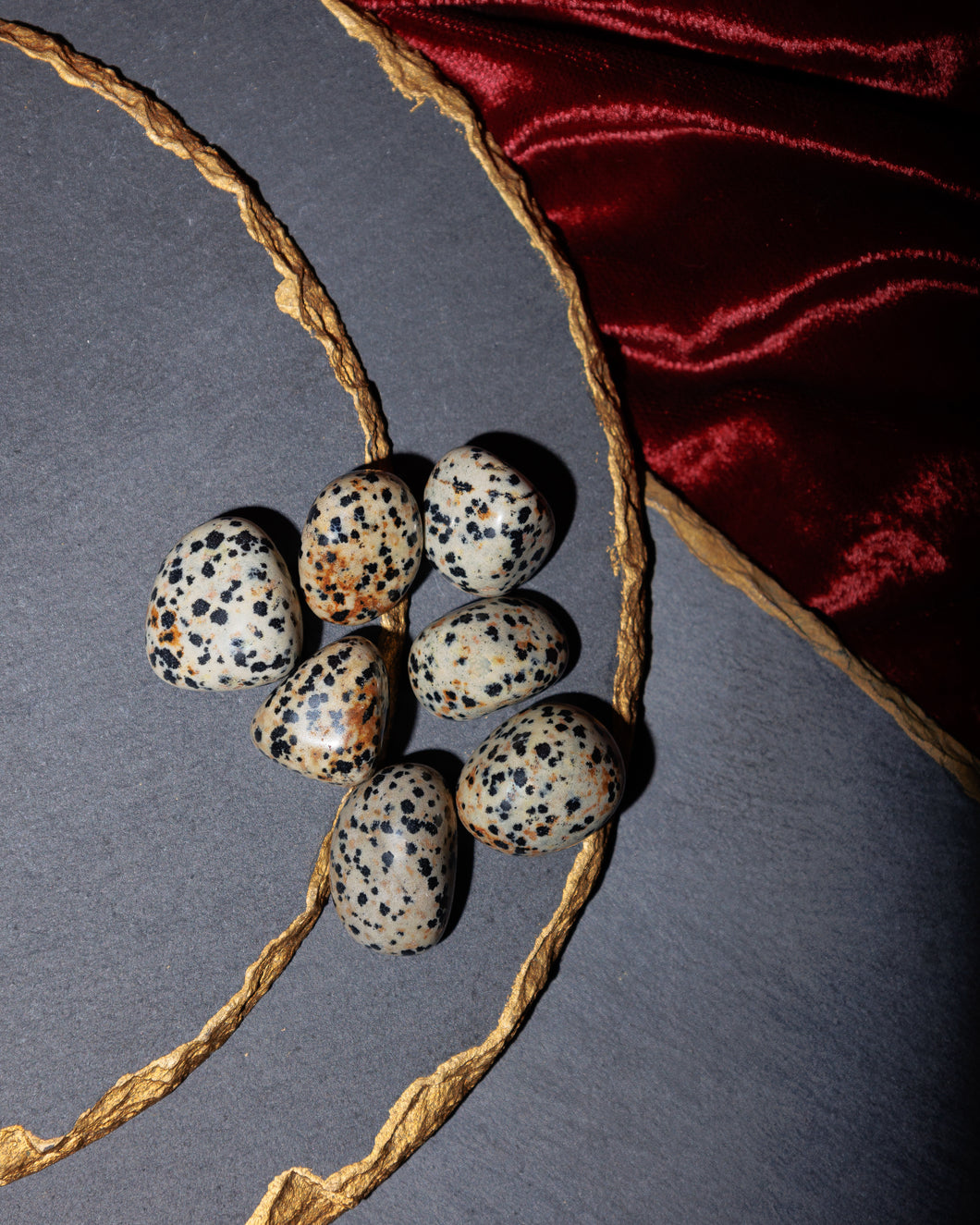Dalmatian Jasper